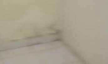 Imagem 5: Galpão/Prédio Comercial para Locação em Pau Amarelo