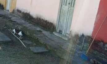 Imagem 7: Casa à Venda em Amaro Branco