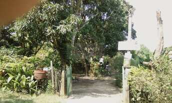 Imagem 4: Sítio no Pacheco de Itaboraí