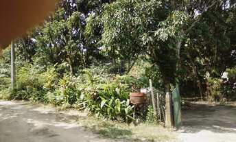 Imagem 3: Sítio no Pacheco de Itaboraí