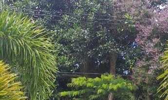 Imagem 3: CASA DUPLEX EM CONDOMÍNIO NO ENGENHO DO MATO 3 QUARTOS (1SUÍTE) + ESCRITÓRIO VISTA RESERVA