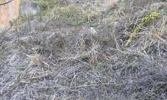 Imagem 2: Terreno/Loteamento à Venda em Cafubá