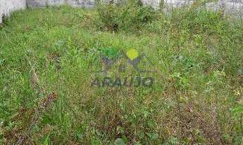 Imagem 2: Jardim praia grande