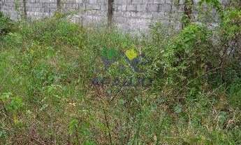 Imagem 4: Jardim praia grande