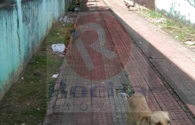 Imagem 3: Casa com terreno para morar ou investir