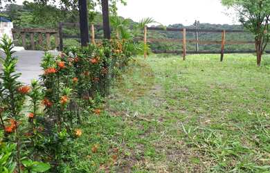 Imagem 4: Chácara rural à venda