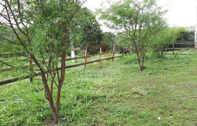 Imagem 7: Chácara rural à venda
