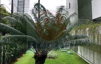 Imagem 6: Residencial Tigre., 2 dormitórios na Rua Professor Ageu Magalhães