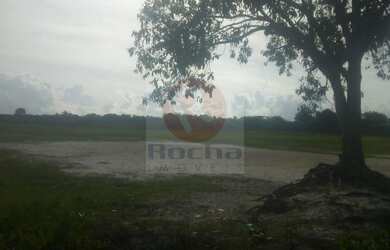 Imagem 5: Terreno proximo vitarela