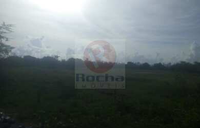 Imagem 6: Terreno proximo vitarela