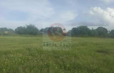 Imagem 3: Terreno proximo vitarela