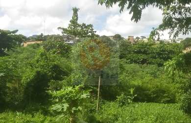 Imagem 3: Terreno em Guabiraba Nova Descoberta