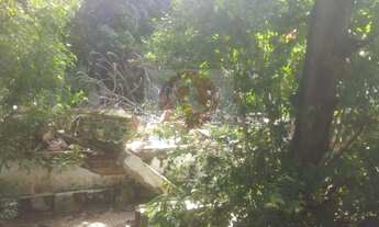 Imagem 4: Excelente terreno para vender no Torreão