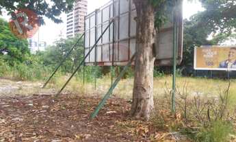 Imagem 4: Excelente terreno na jaqueira