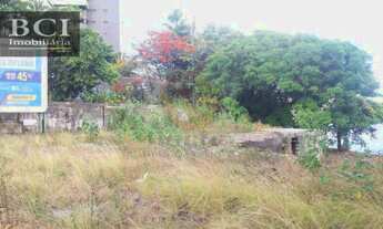 Imagem 6: Excelente terreno na jaqueira