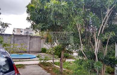 Imagem 3: CASA COMERCIAL MNASSAU