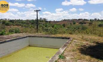 Imagem 6: Chácara Paudalho - PE