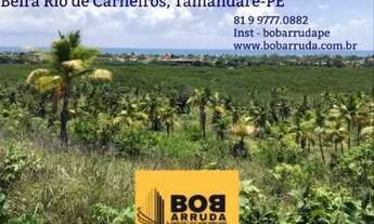 Imagem: Área em Carneiros- 160 Hectares