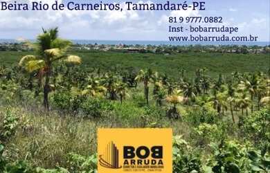 Imagem: Área em Carneiros- 160 Hectares