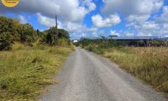Imagem 4: ÁREA COM 12 HECTARES NA PE 60