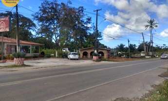 Imagem 5: ÁREA COM 12 HECTARES NA PE 60