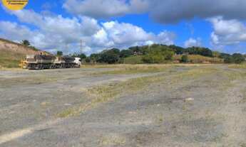 Imagem: ÁREA COM 12 HECTARES NA PE 60