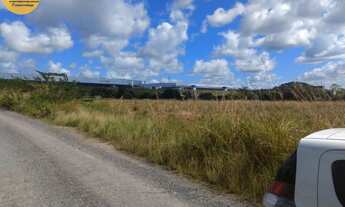 Imagem 3: ÁREA COM 12 HECTARES NA PE 60