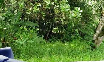 Imagem 7: Chácara em Aldeia - 1 Hectare