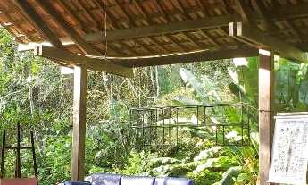 Imagem 3: Chácara em Aldeia - 1 Hectare