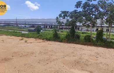 Imagem: Área as Margens da BR 101 - Cabo