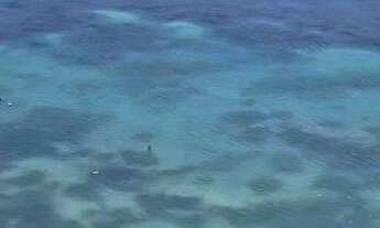 Imagem: Solar de Camaragibe - Beira Mar