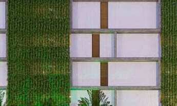 Imagem 4: Golden Beach Club - Areia Vermelha