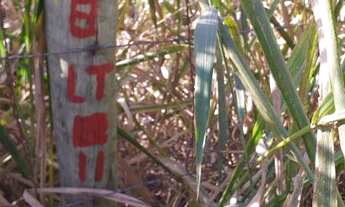 Imagem: MARICÁ CHACARA DE INOÃ TERRENOS EM EXCELENTE
