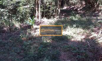 Imagem 7: TERRENÃO EM PENDOTIBA COM 2350 mts²