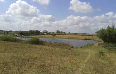 Imagem 3: Terreno/Loteamento à Venda em Centro