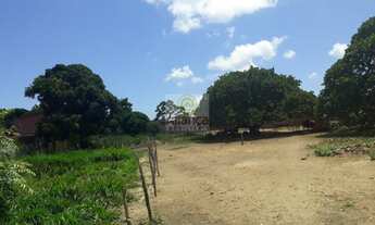 Imagem 2: Terreno/Loteamento à Venda em Jardim Planalto