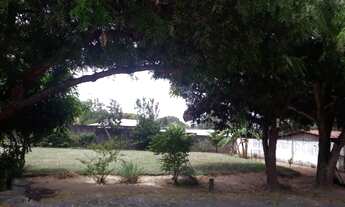 Imagem 2: Terreno/Loteamento à Venda em Ponta Negra