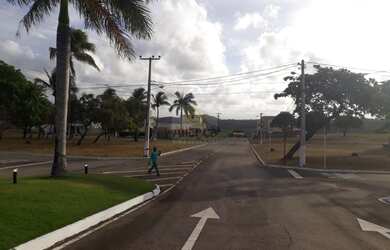 Imagem 3: Terreno/Loteamento à Venda em Pirangi do Norte