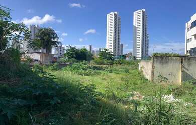 Imagem 6: Terreno/Loteamento à Venda em Lagoa Nova