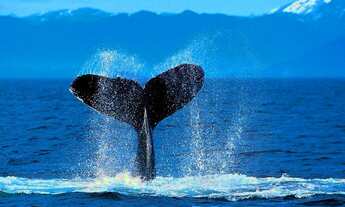 Imagem: Apartamento Residencial em Rio de Janeiro