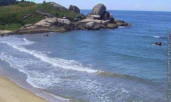 Imagem: Lindo Apartamento em SP