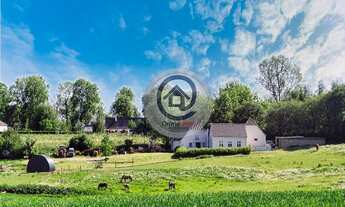 Imagem: Empresa FESTAS em Canoas - Rio Grande do