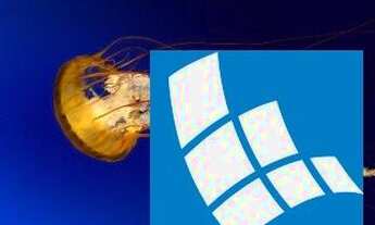 Imagem 5: Apartamento Residencial em Criciúma - Santa Catarina, Próspera