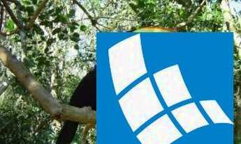 Imagem: CHÁCARA RURAL em Brasília - Distrito Federal