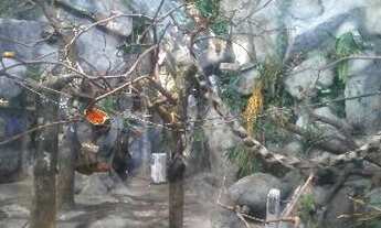 Imagem: GALPÃO Comercial em São Paulo - São Paulo