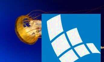 Imagem 4: Casa Comercial em São Sebastião - São Paulo, Praia Deserta