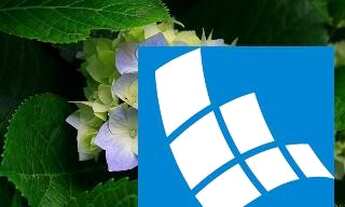 Imagem 3: Casa Comercial em São Sebastião - São Paulo, Praia Deserta