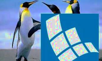 Imagem 7: Casa Comercial em São Sebastião - São Paulo, Praia Deserta