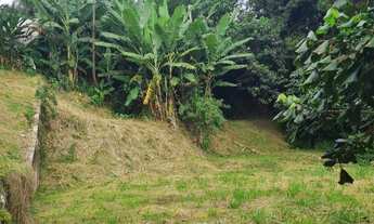 Imagem 3: Terreno de 1.000m² em Condomínio de Luxo em Cotia-SP, Bairro São Paulo II: Oportunidade Im