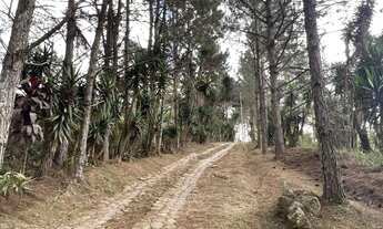 Imagem 6: Terreno à venda em Cotia-SP, bairro Taboleiro Verde, com 18.455m² de área! Venha conferir!